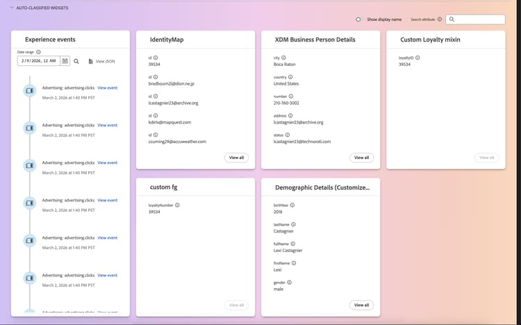 Se muestra la sección de widgets clasificados automáticamente.