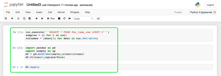 Panel Jupyter Notebook con varios comandos resaltados.