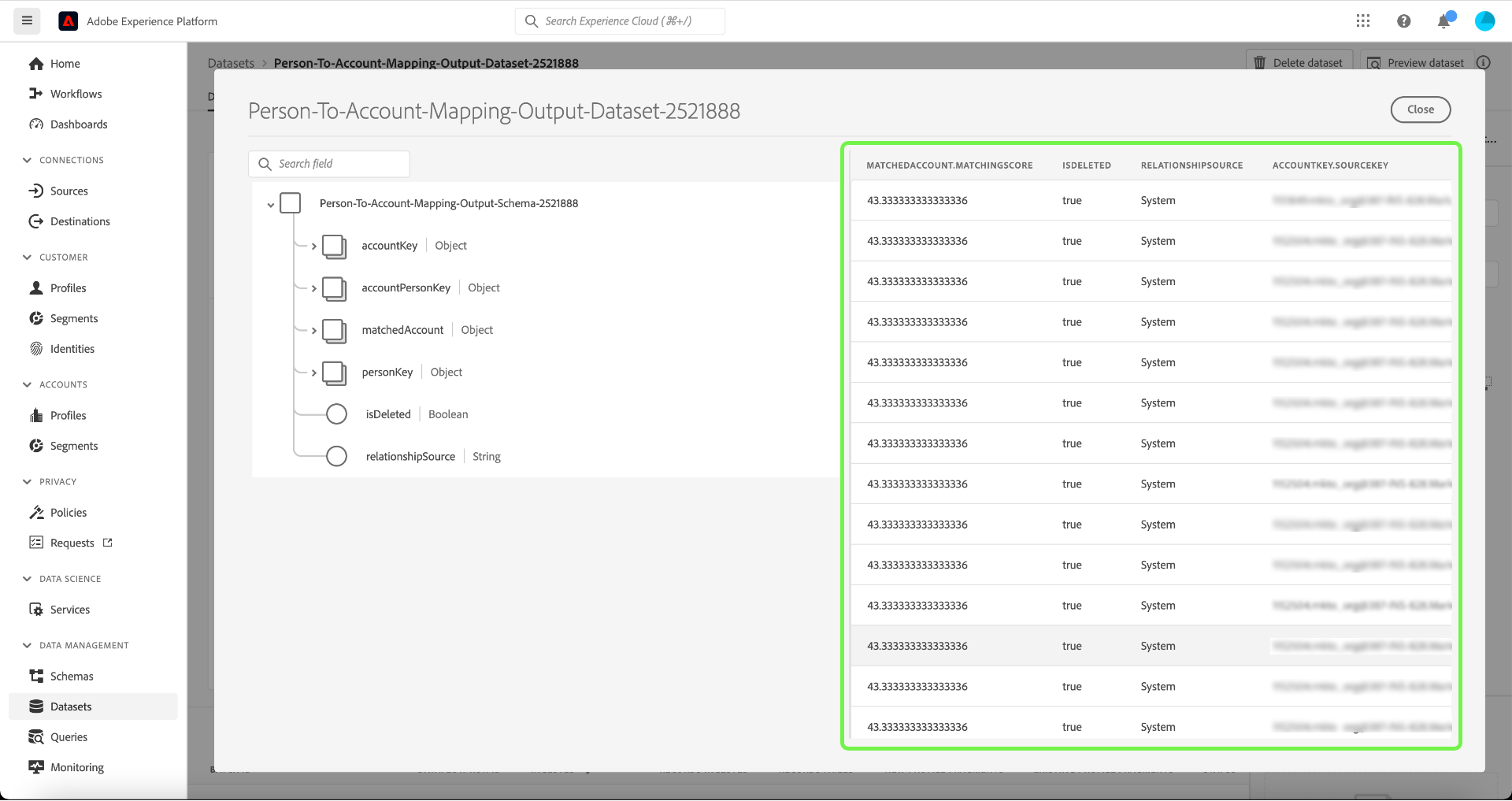 Coincidencia De Clientes Potenciales Con Cuentas En Real-Time CDP B2B ...