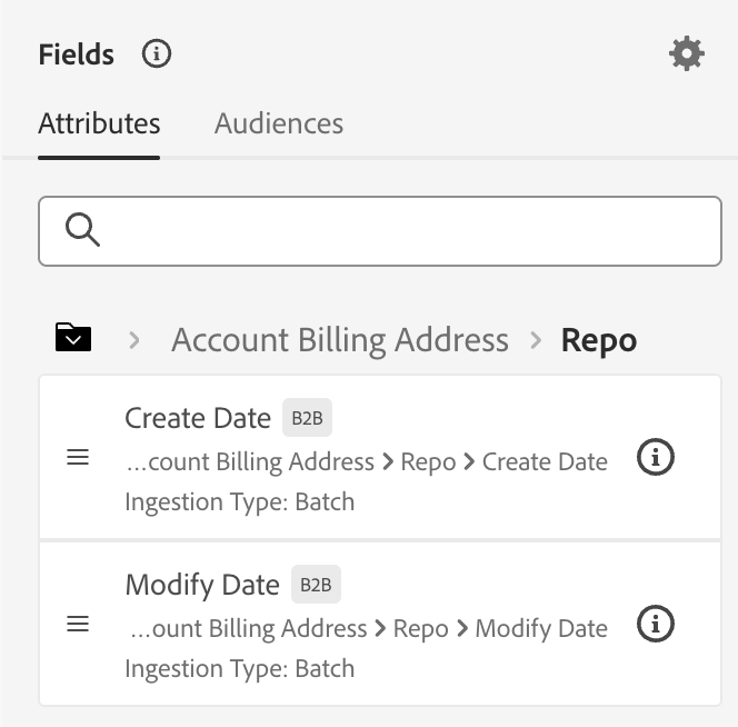 Se muestra el tipo de ingesta del atributo.