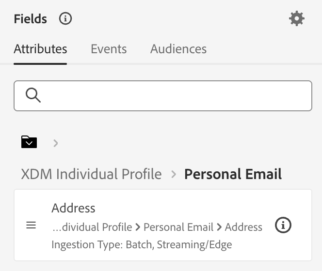 Se muestra el tipo de ingesta del atributo.