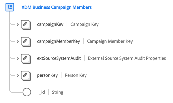 La estructura de la clase de miembros de XDM Business Campaign tal como aparece en la interfaz de usuario
