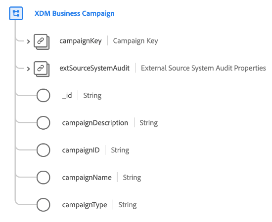 La estructura de la clase de XDM Business Campaign tal como aparece en la interfaz de usuario