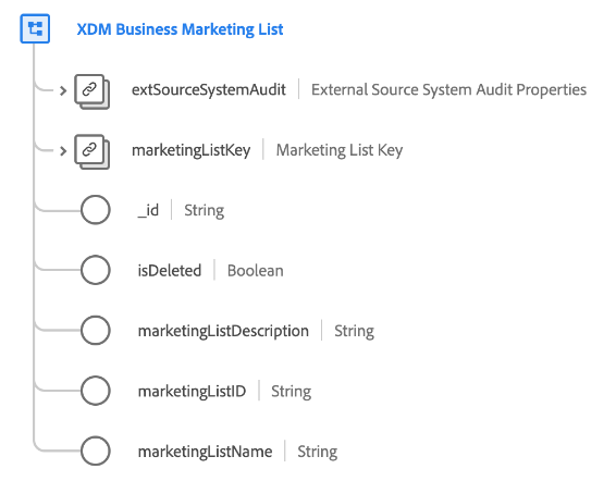 La estructura de la clase Lista de marketing empresarial de XDM tal como aparece en la interfaz de usuario