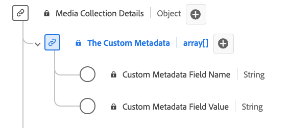 Diagrama del tipo de datos de la colección de detalles de metadatos personalizados.