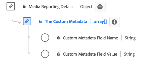 Un diagrama del tipo de datos del informe de detalles de metadatos personalizados.