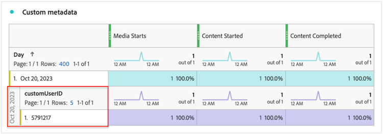 setup-custom-metadata