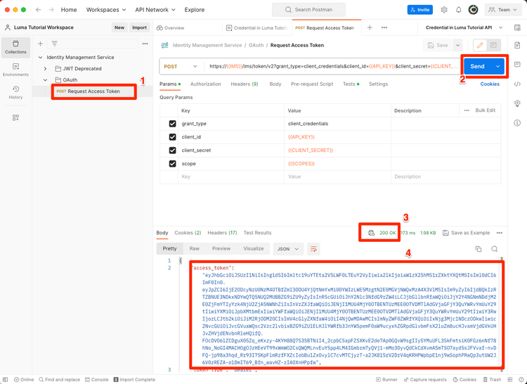 Solicitar los tokens