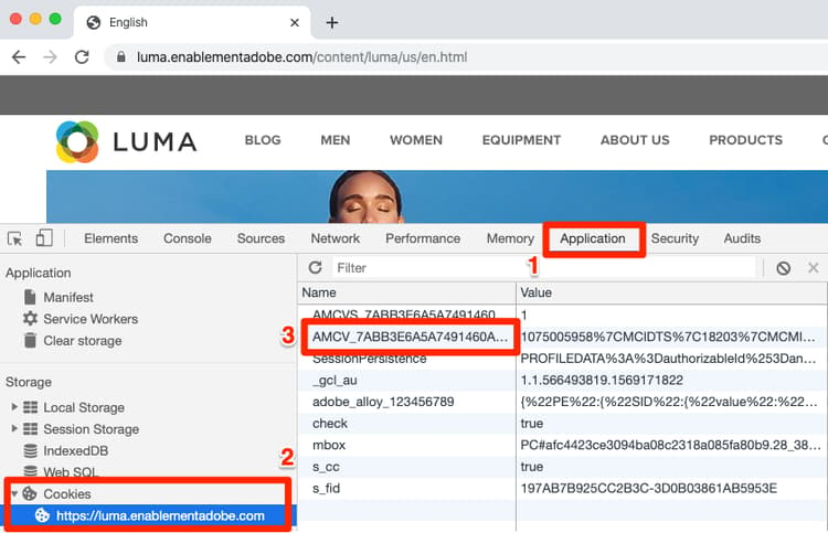 Verifique la cookie “AMCV_”