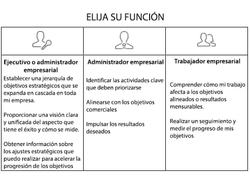 Gráfico de las diferentes funciones de Workfront Goals