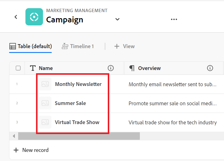 Registros resaltados en la lista de tipo de registro de campaña