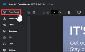 Detalles del visor de revisión