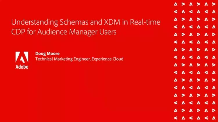 Explicación de los esquemas y XDM en CDP en tiempo real para usuarios de Audience Manager