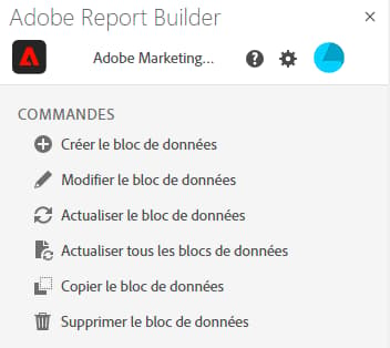 Panneau Commandes dans le Report Builder Hub