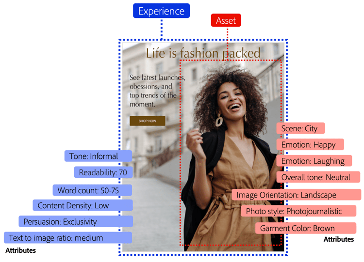 Ressources et expériences