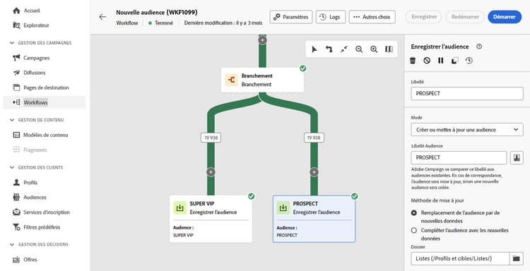 Écran de configuration de l’activité Enregistrer l’audience avec des options pour ajuster le comportement d’enregistrement de l’audience.