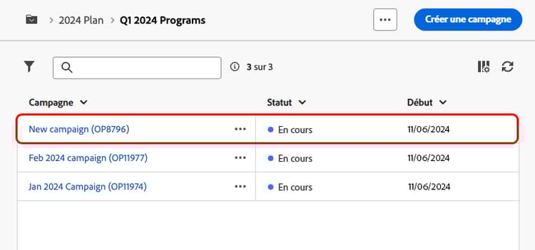 Capture d’écran montrant une campagne répertoriée dans un programme