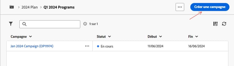 Capture d’écran montrant la création d’une campagne dans un programme