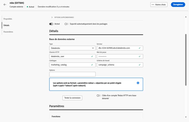 Copie d’écran montrant les champs de configuration du compte externe Databricks.
