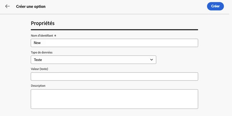 Interface de création d’options montrant les champs de nom, de type et de valeur
