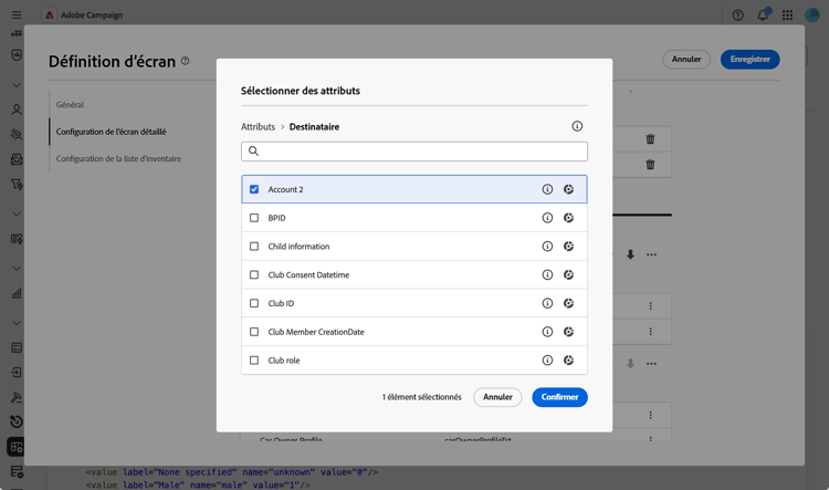 Écran de champs personnalisés affichant des attributs modifiables