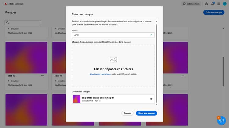 Chargement de fichier pour l’extraction des directives de la marque