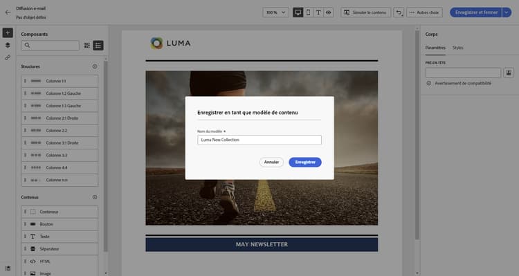 Saisir le nom du modèle enregistré