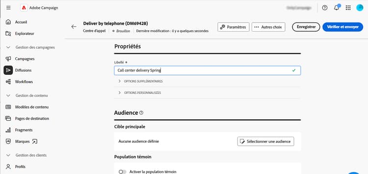 Capture d’écran montrant la configuration des propriétés d’une diffusion de centre d’appel