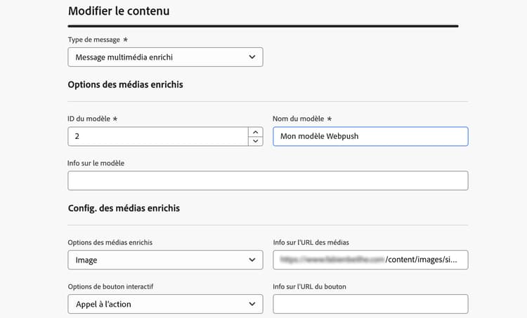 Copie d’écran montrant les options de configuration des attributs pour le canal d’API.