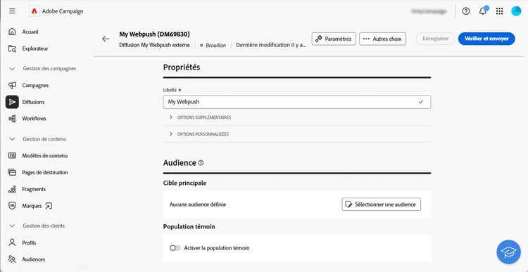 Capture d’écran affichant la configuration des propriétés d’une diffusion personnalisée