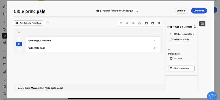 Capture d’écran affichant la sélection de l’audience pour une diffusion personnalisée