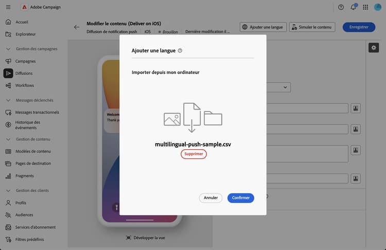 Copie d’écran montrant la validation réussie du fichier CSV avec toutes les langues importées