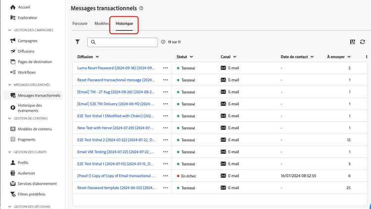 Capture d’écran affichant l’onglet Historique avec une liste des messages transactionnels exécutés.