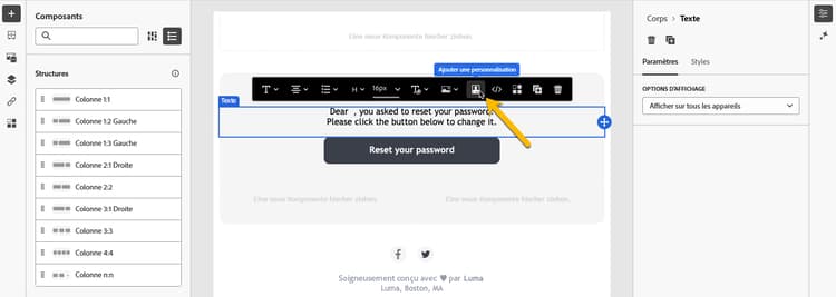 Capture d’écran affichant l’icône de personnalisation dans l’éditeur de contenu.