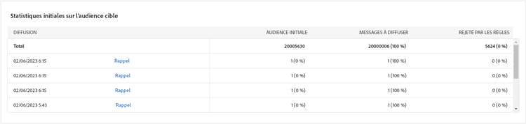 Capture d’écran du tableau Statistiques initiales sur l’audience cible