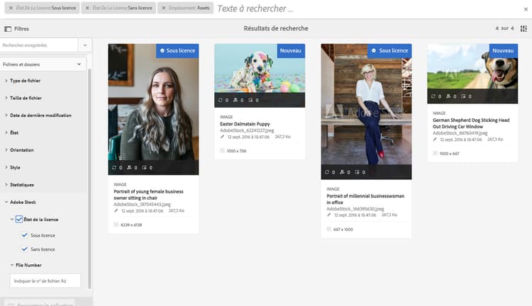 Filtres de recherche dans Experience Manager et ressources Adobe Stock mises en évidence dans les résultats de recherche