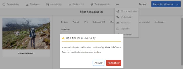 L’action de réinitialisation remplace les modifications locales et apporte une partie de la Live Copy avec sa source