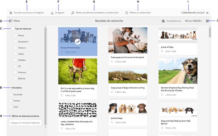 Recherche de ressources Adobe Stock et filtrage des résultats de votre espace de travail Adobe Experience Manager