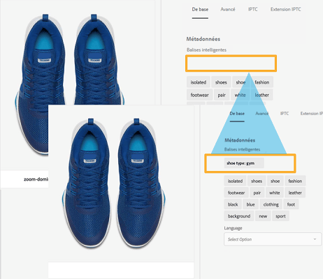 advanced_smart_tags2