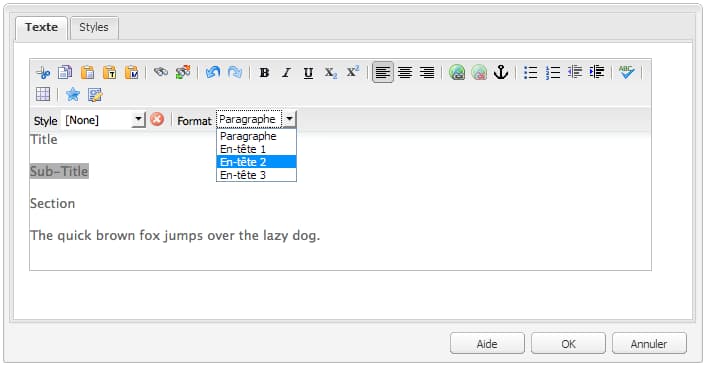 cq55_rte_paragraph_use
