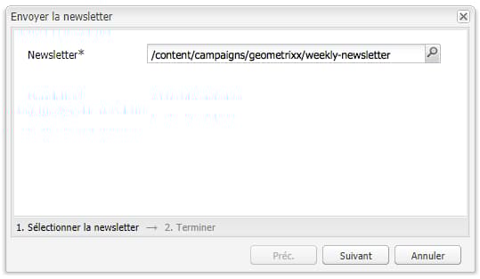 Boîte de dialogue Envoyer la newsletter