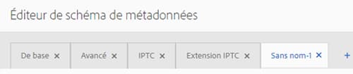 Ajout ou suppression d’un onglet à l’aide de l’éditeur de schéma de métadonnées