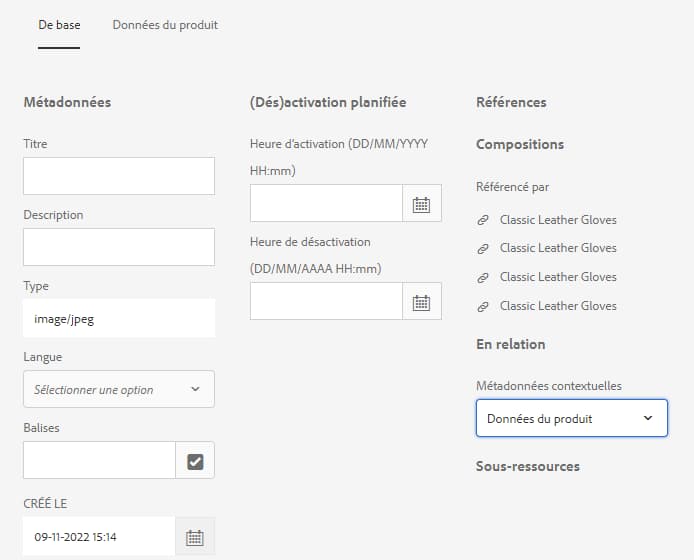 L’onglet sélectionné dans la liste des métadonnées contextuelles s’affiche sur la page des propriétés de la ressource.