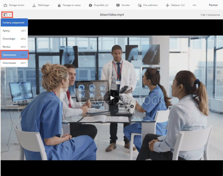 Liste déroulante présentant l’option Visionneuses.