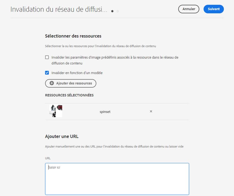 Invalidation du réseau de diffusion de contenu – Ajouter des détails