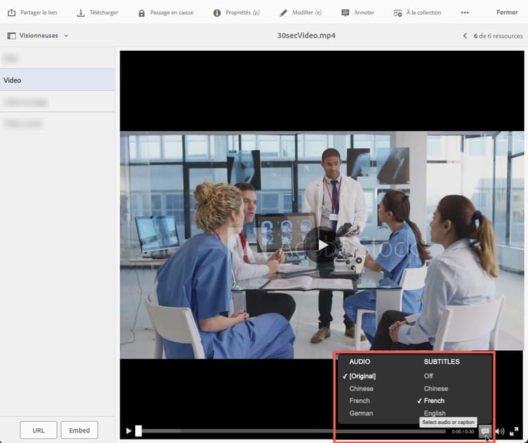 Liste de fenêtres contextuelles (pop-up) Audio et sous-titres dans la visionneuse de vidéos.