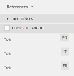 copies de langue