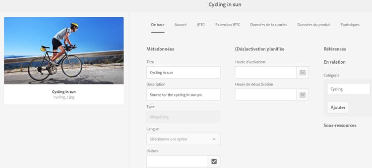 page Propriétés de la ressource qui affiche le fichier source de la ressource associée à inclure pour la traduction