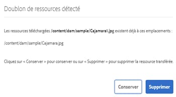 Boîte de dialogue Doublons détectés