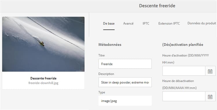 afficher les métadonnées traduites dans la page Propriétés de la ressource
